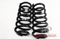 Original Opel GM Feder Fahrwerksfedern 13284025 2 Stück Neu MT279