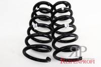 Original Opel GM Feder Fahrwerksfedern 13302996 2 Stück Neu MT273