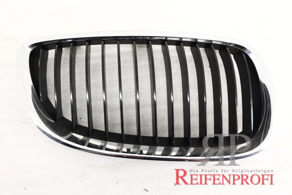 Original BMW Kühlergrill NEU UNBEBNUTZT mit kleine Lagerspuren 125303111 Rechts T143