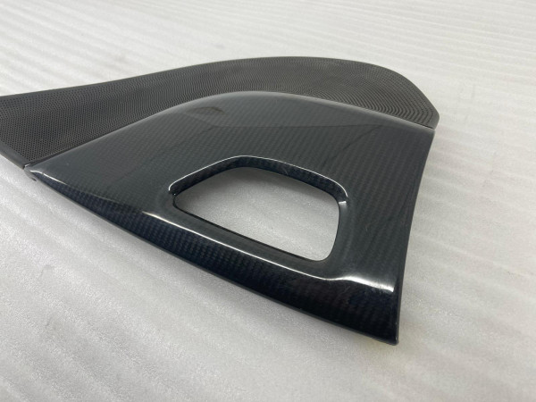 Original Audi R8 42 Carbon Zuziehgriff 424868092T XYY gebraucht MT910